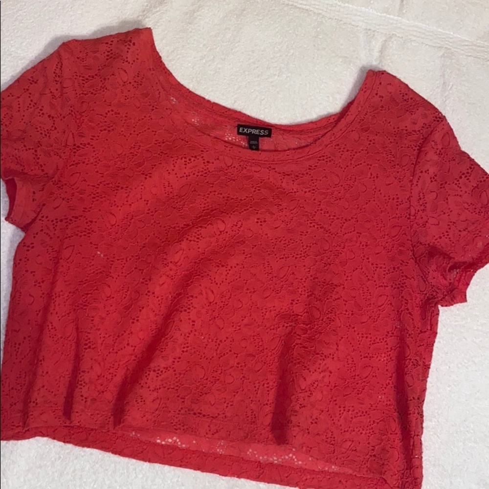 Cropped Net Coral Top